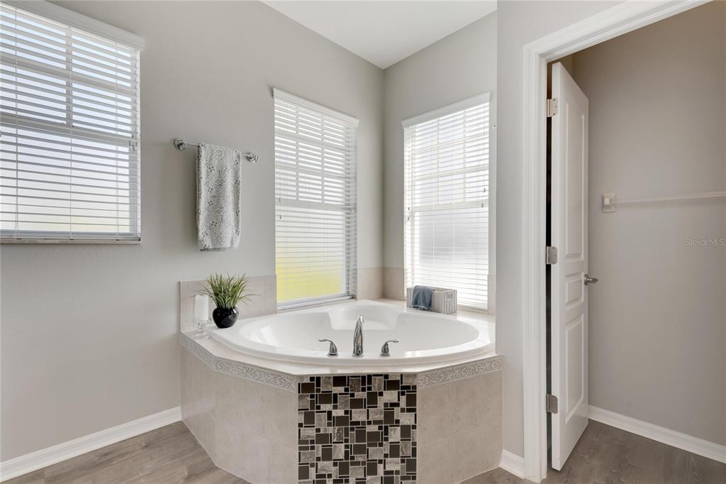 528 Islebay Drive Apollo Beach, FL 33572 - Photo 54 of 98 a bathroom with a tub and a window