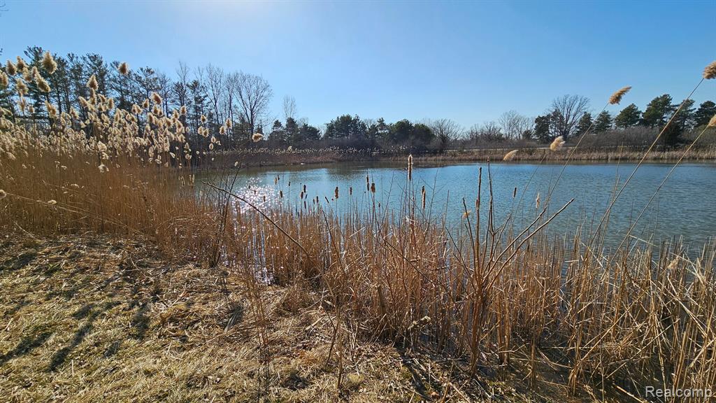 4336 West Lake Road Clio, MI 48420 - Photo 41 of 52 Gallery Image 41