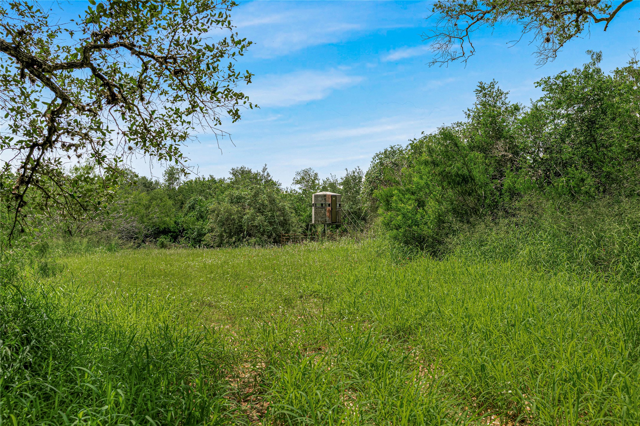 0 McGuill Road Goliad, TX 77963 - Photo 19 of 21 Gallery Image 19
