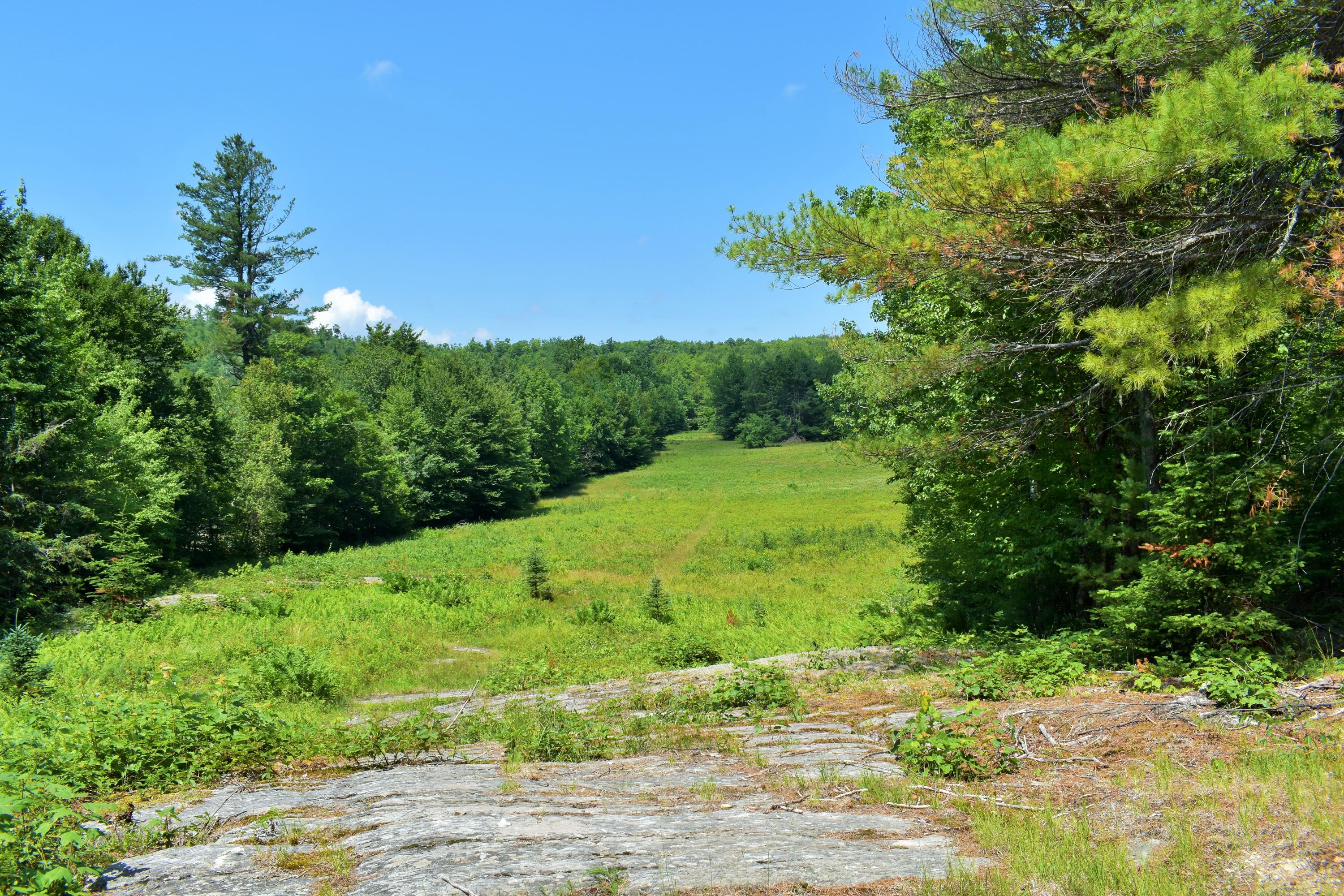 181 McComb Road Garland, ME 04939 - Photo 100 of 101 88