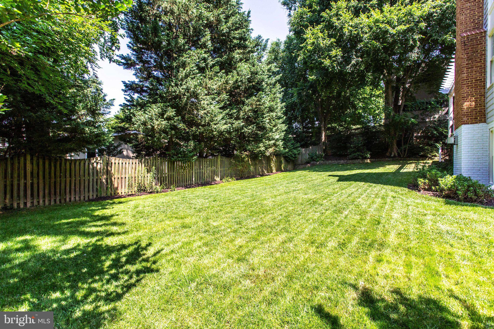 1504 Laughlin Avenue McLean, VA 22101 - Photo 18 of 43 Backyard