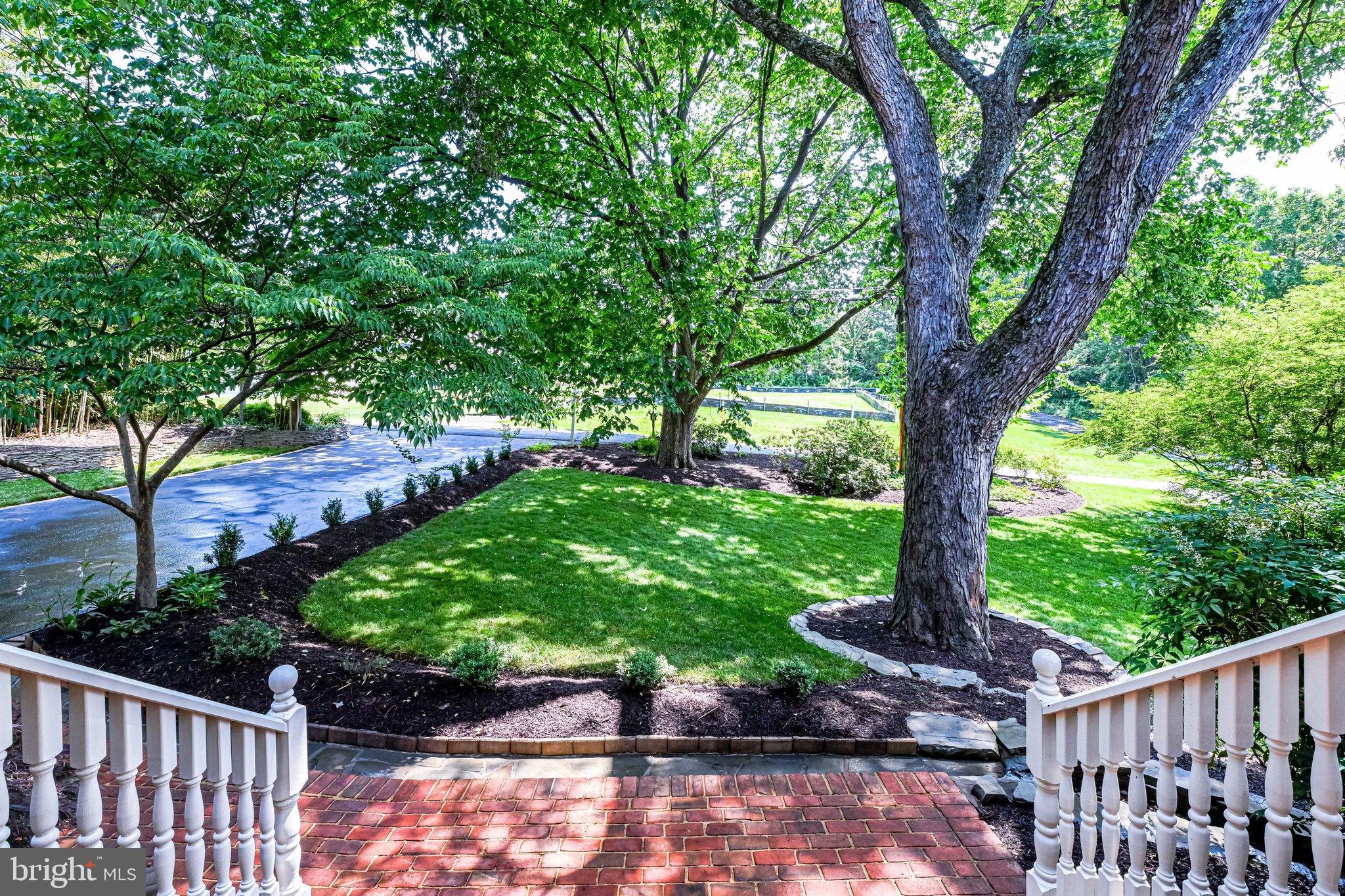 1504 Laughlin Avenue McLean, VA 22101 - Photo 35 of 43 Front yard/steps