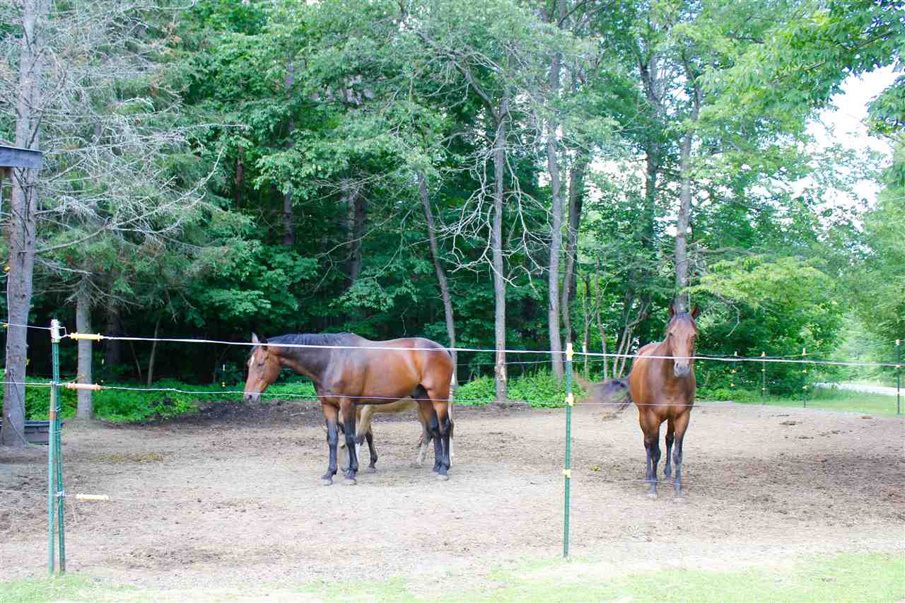 2041 Russellville Road Shrewsbury, VT 05738 - Photo 24 of 26 Gallery Image 24