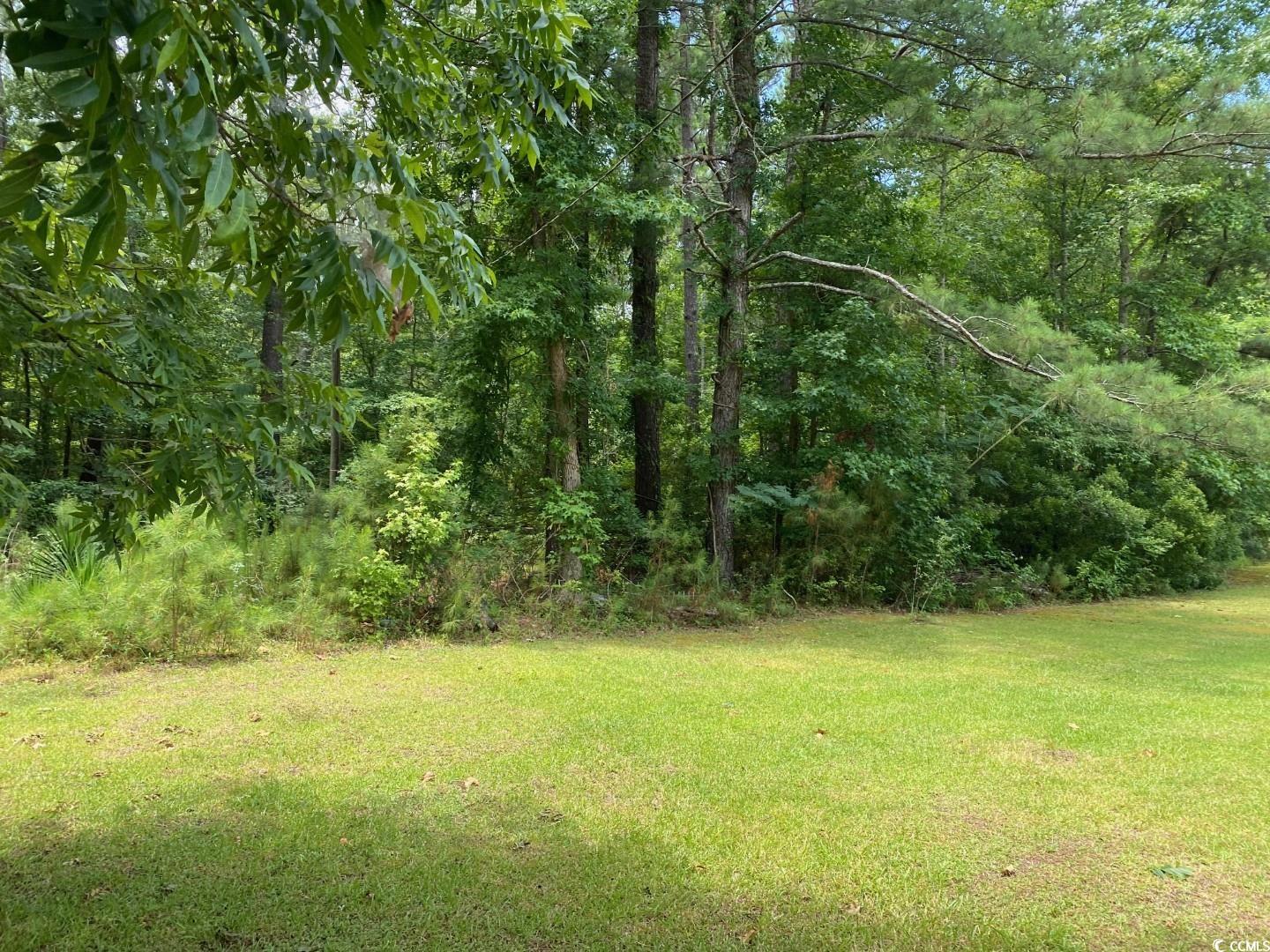40 London Avenue Hemingway, SC 29554 - Photo 13 of 14 Gallery Image 13