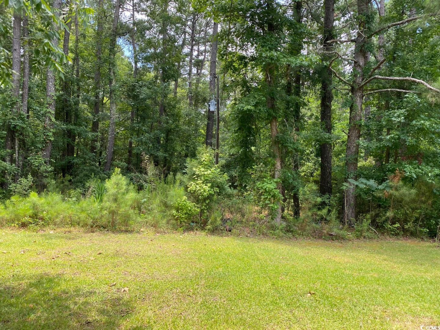 40 London Avenue Hemingway, SC 29554 - Photo 14 of 14 Gallery Image 14