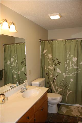 880 Barnette Road Minor Hill, TN 38473 - Photo 13 of 19 Master Bath - double vanity sink