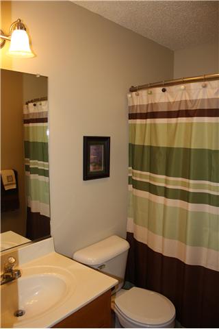 880 Barnette Road Minor Hill, TN 38473 - Photo 15 of 19 Main bath