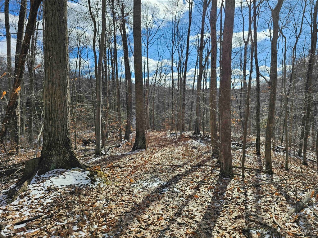 634 Ringwood Road Ithaca, NY 14850 - Photo 42 of 50