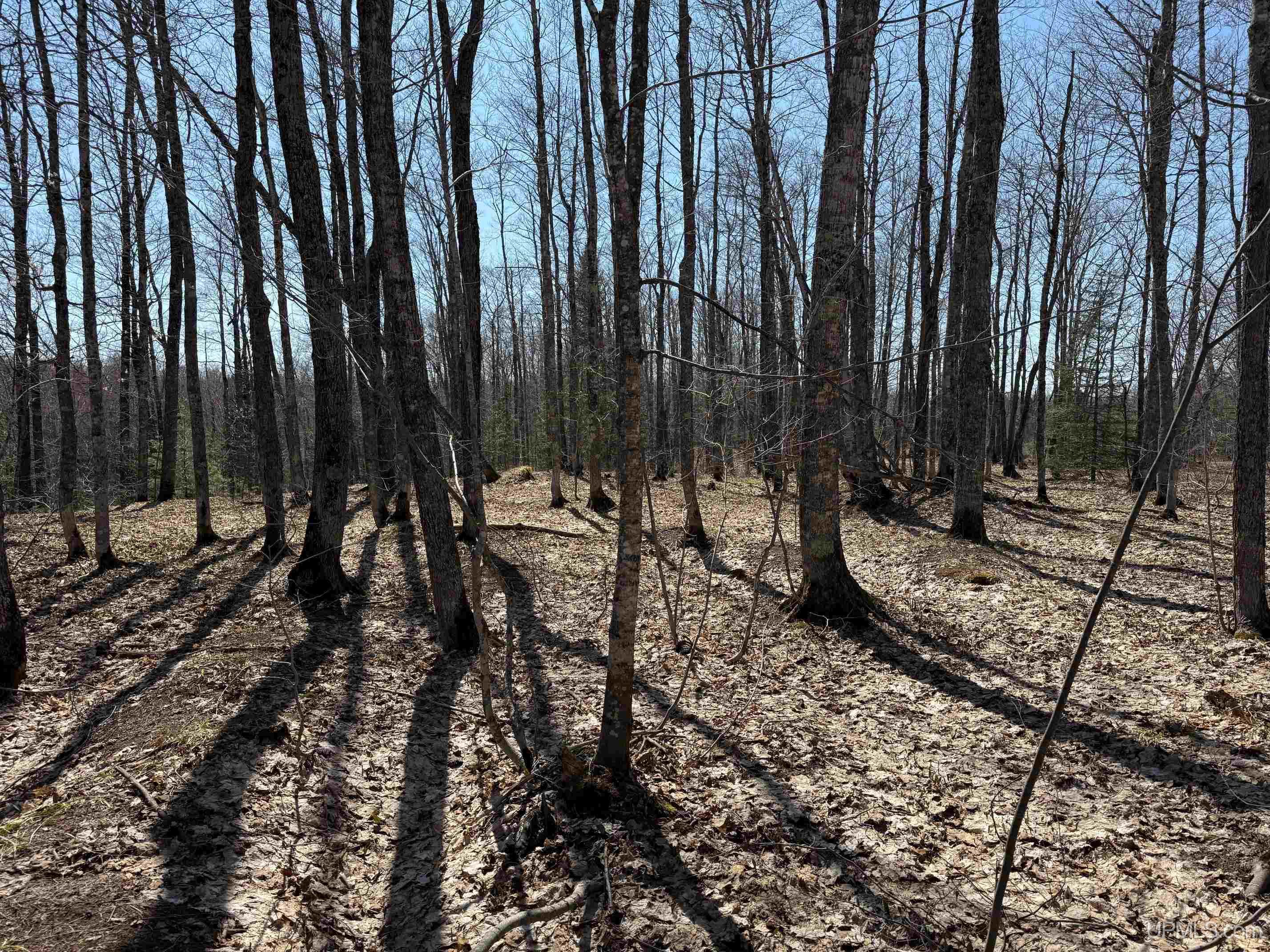 Tbdb Winona Road Toivola, MI 49965 - Photo 12 of 20