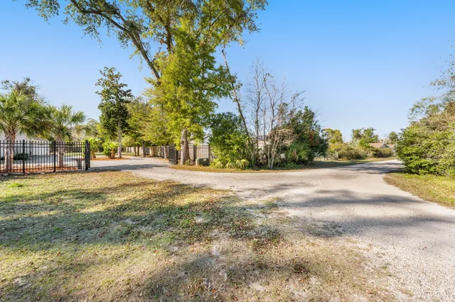 a view of road with tree
