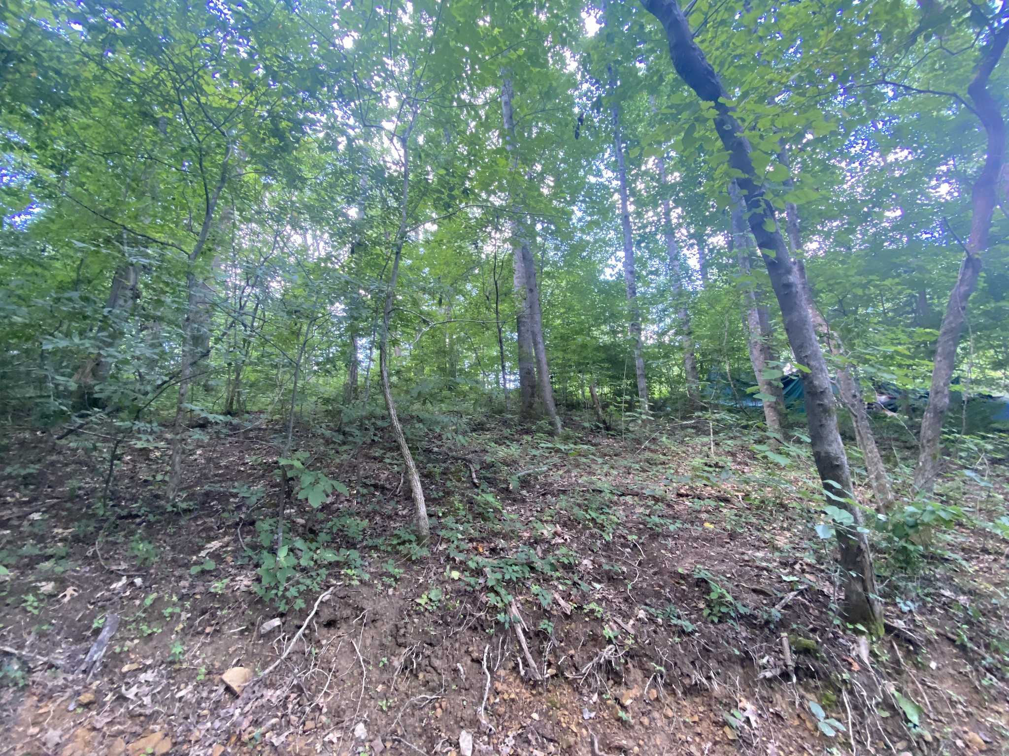 5032 Ridge Hill Road Joelton, TN 37080 - Photo 3 of 14