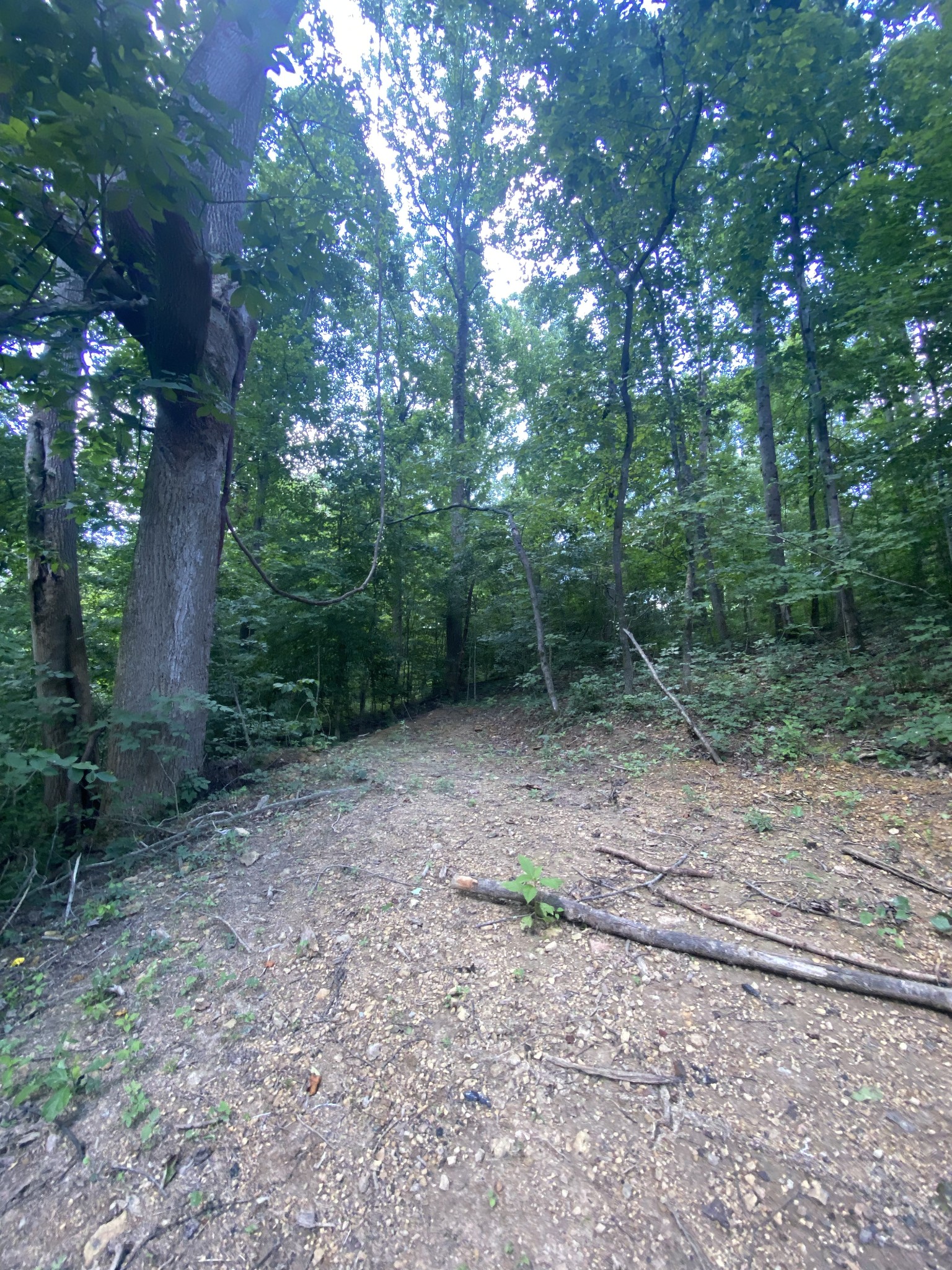 5032 Ridge Hill Road Joelton, TN 37080 - Photo 4 of 14