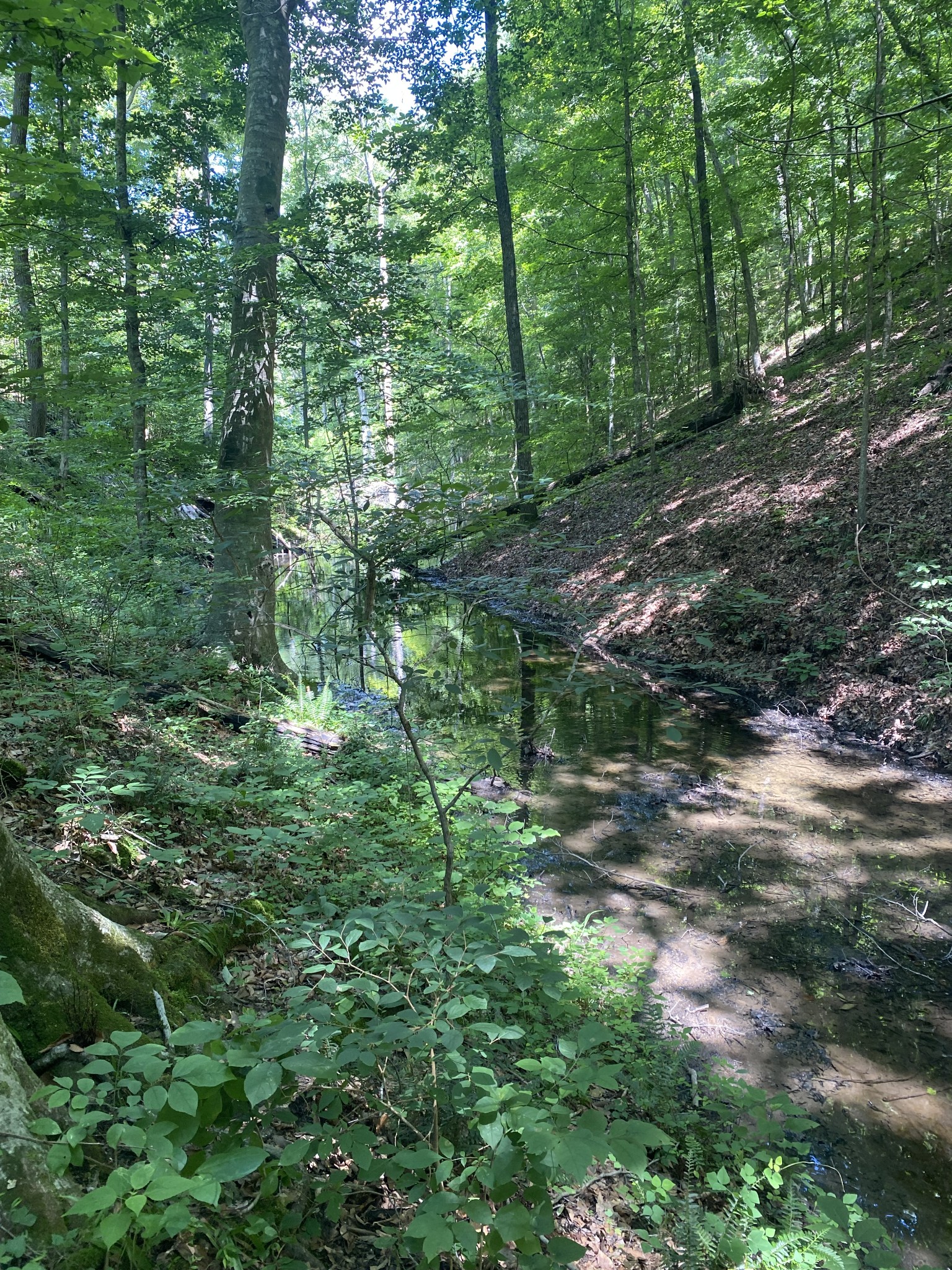 5032 Ridge Hill Road Joelton, TN 37080 - Photo 6 of 14