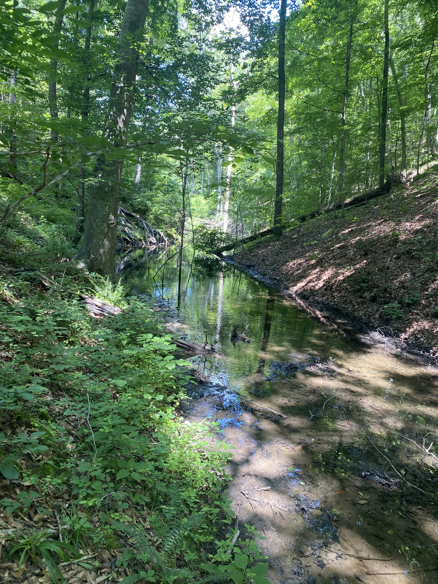 5032 Ridge Hill Road Joelton, TN 37080 - Photo 7 of 14