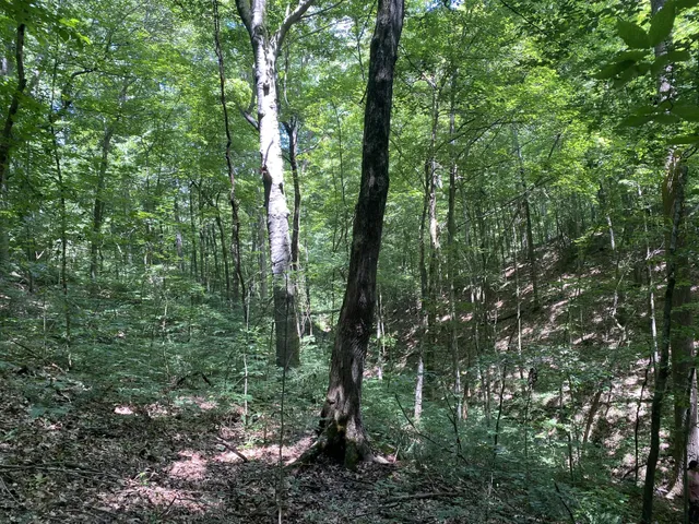 $175,000 | 5032 Ridge Hill Road, Joelton, TN 37080