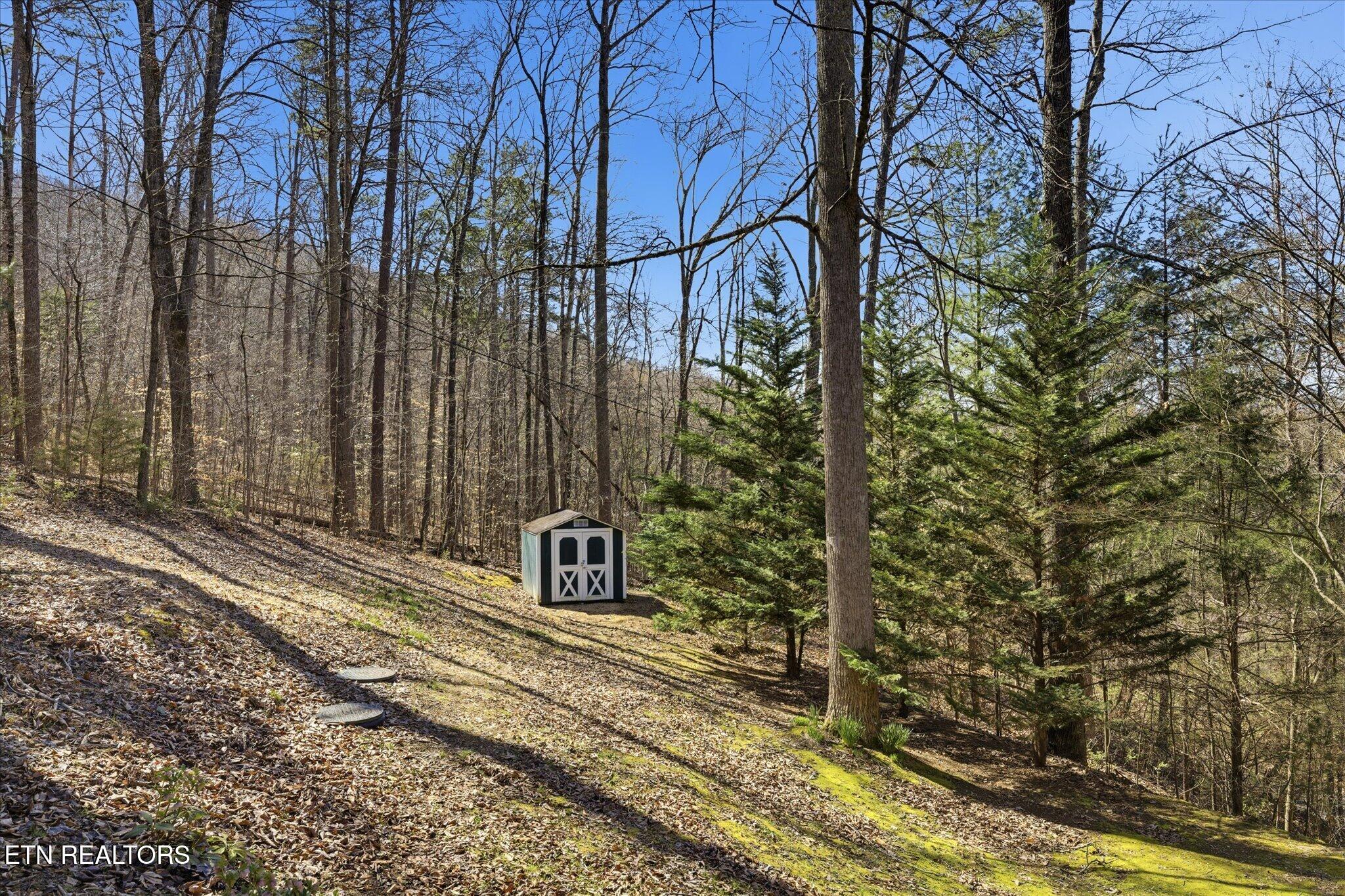 142 Overlook Trail Maynardville, TN 37807 - Photo 8 of 49 08-IMG_0023
