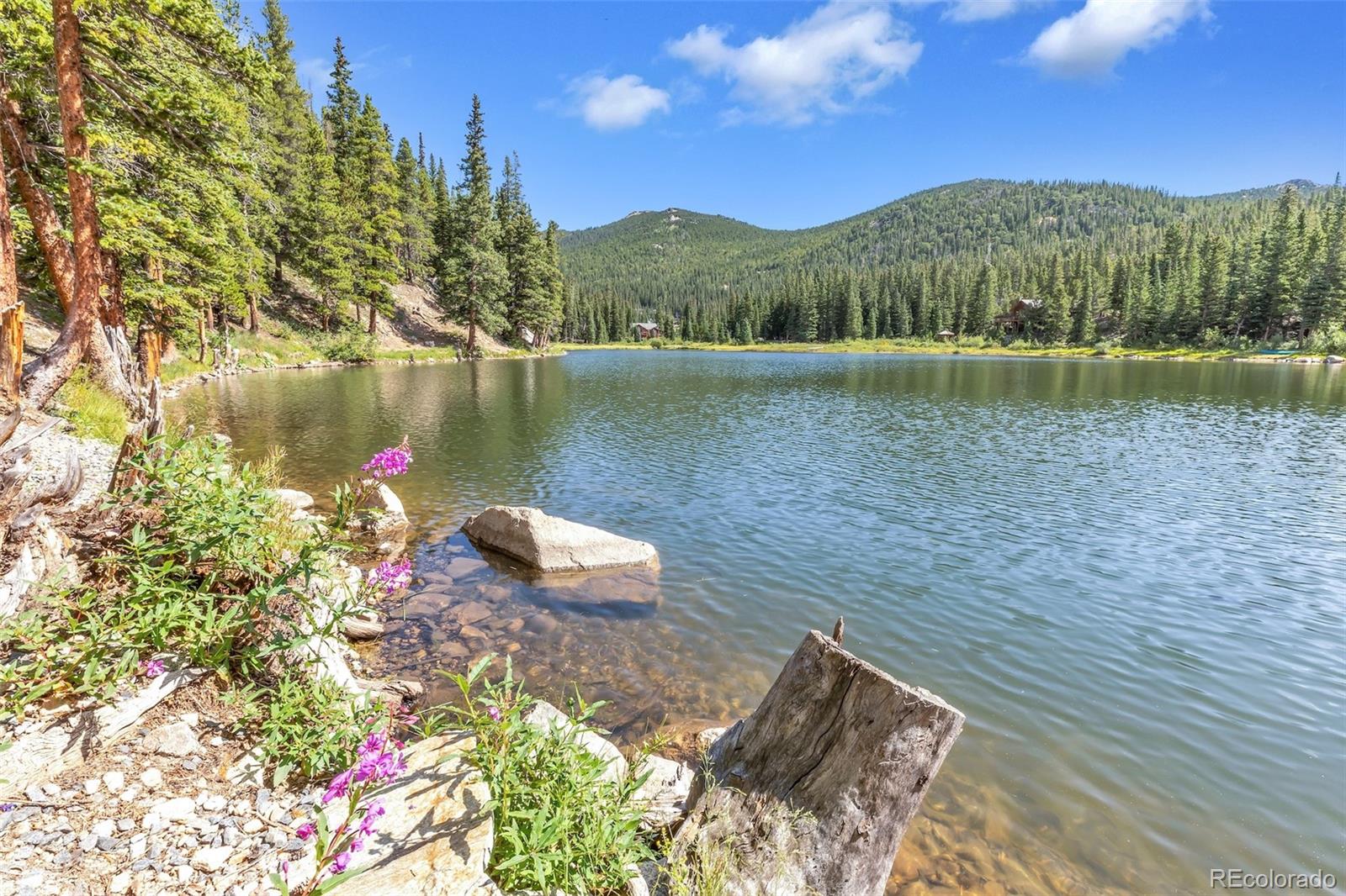 169 Lake Road Idaho Springs, CO 80452 - Photo 11 of 40