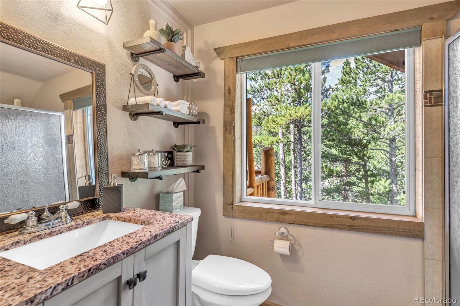 169 Lake Road Idaho Springs, CO 80452 - Photo 22 of 40