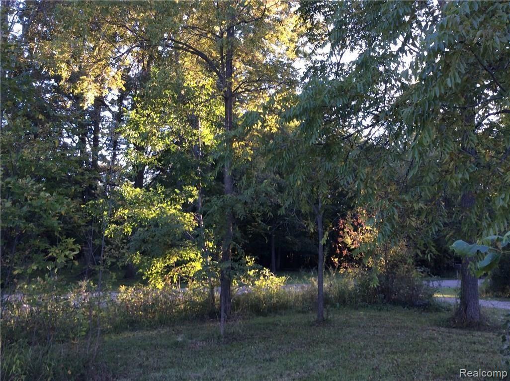 14756 Terry Road Allenton, MI 48002 - Photo 14 of 42 image.jpeg