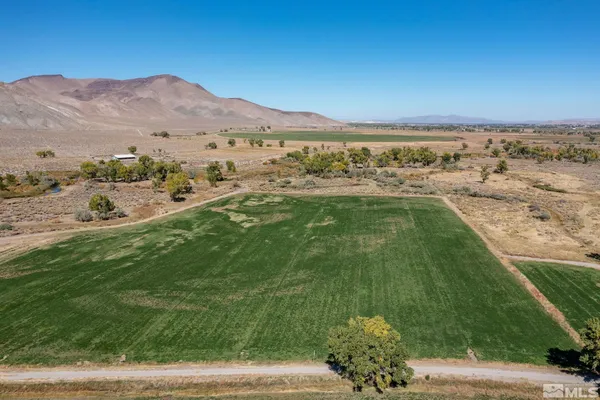 a living room with furniture fireplace and window