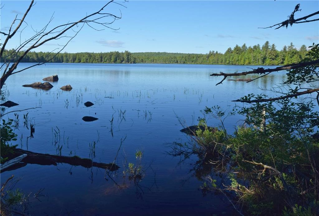Lot 8 Loop Road Lincoln, ME 04457 - Photo 1 of 15 Photo