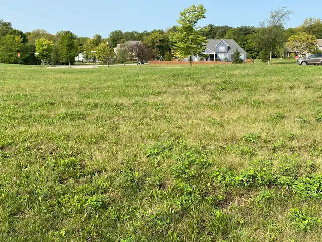 $43,000 | Lot 45 Secretariat Drive, Genoa, IL 60135