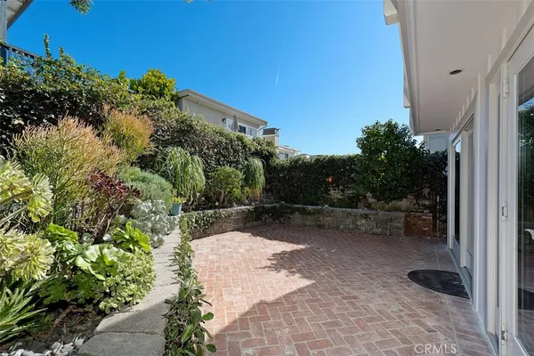 a view of a backyard with plants and a patio