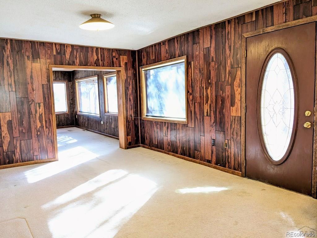 8140 Table Mountain Road Rye, CO 81069 - Photo 5 of 49 an empty room with entrance and mirror