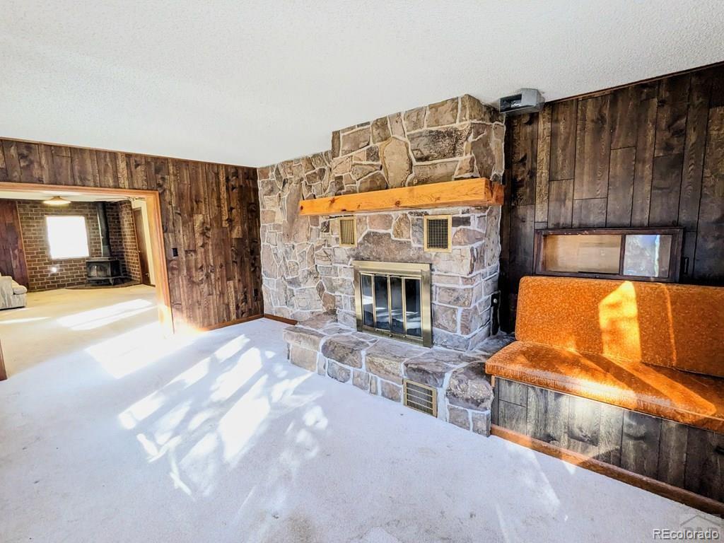8140 Table Mountain Road Rye, CO 81069 - Photo 6 of 49 a living room with fireplace furniture and a fireplace