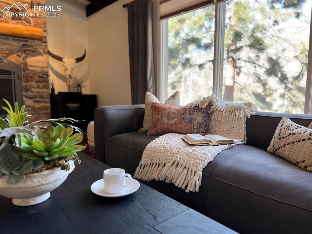 9660 Mohawk Trail Cascade, CO 80809 - Photo 21 of 42 a living room with a couch and a table