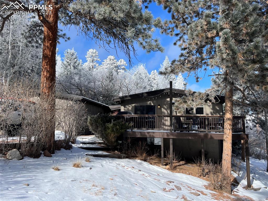 9660 Mohawk Trail Cascade, CO 80809 - Photo 37 of 42 a view of street along with trees
