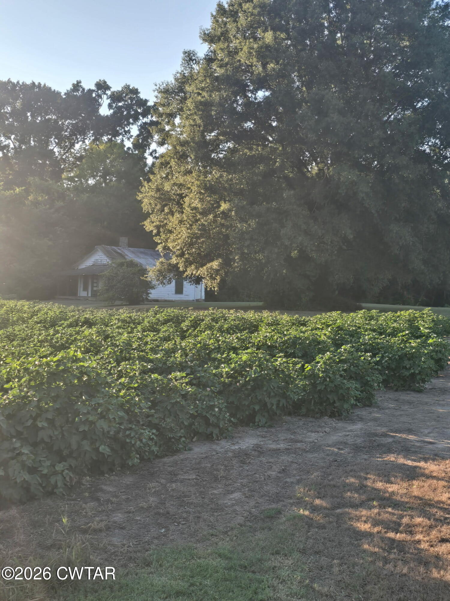 353 Cotton Grove Road Jackson, TN 38305 - Photo 3 of 9 20260818_184630