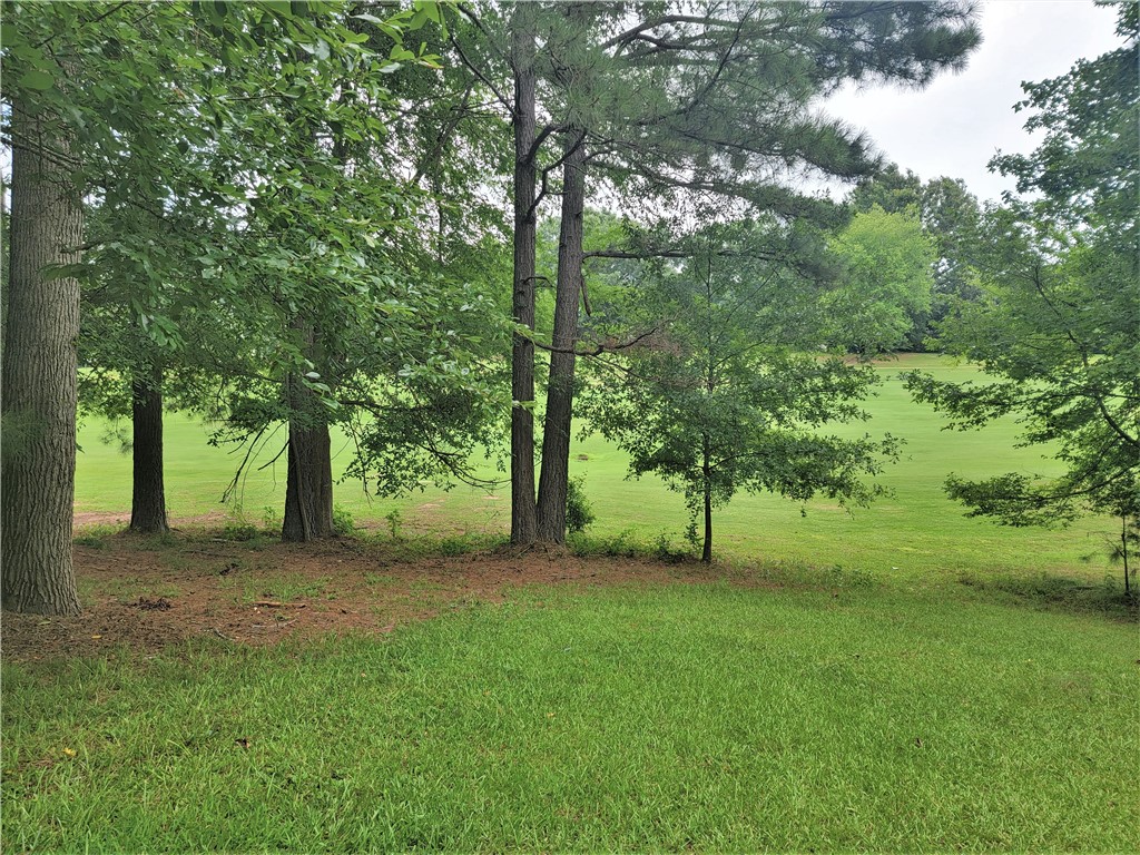 121 Kilsprings Road Anderson, SC 29621 - Photo 8 of 37 view of Golf Course from home