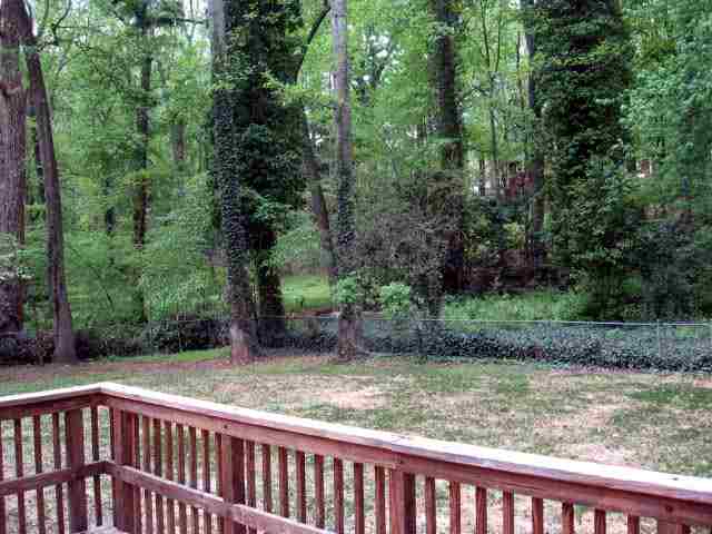 329 Chick Springs Road Greenville, SC 29609 - Photo 8 of 9 Gallery Image 8