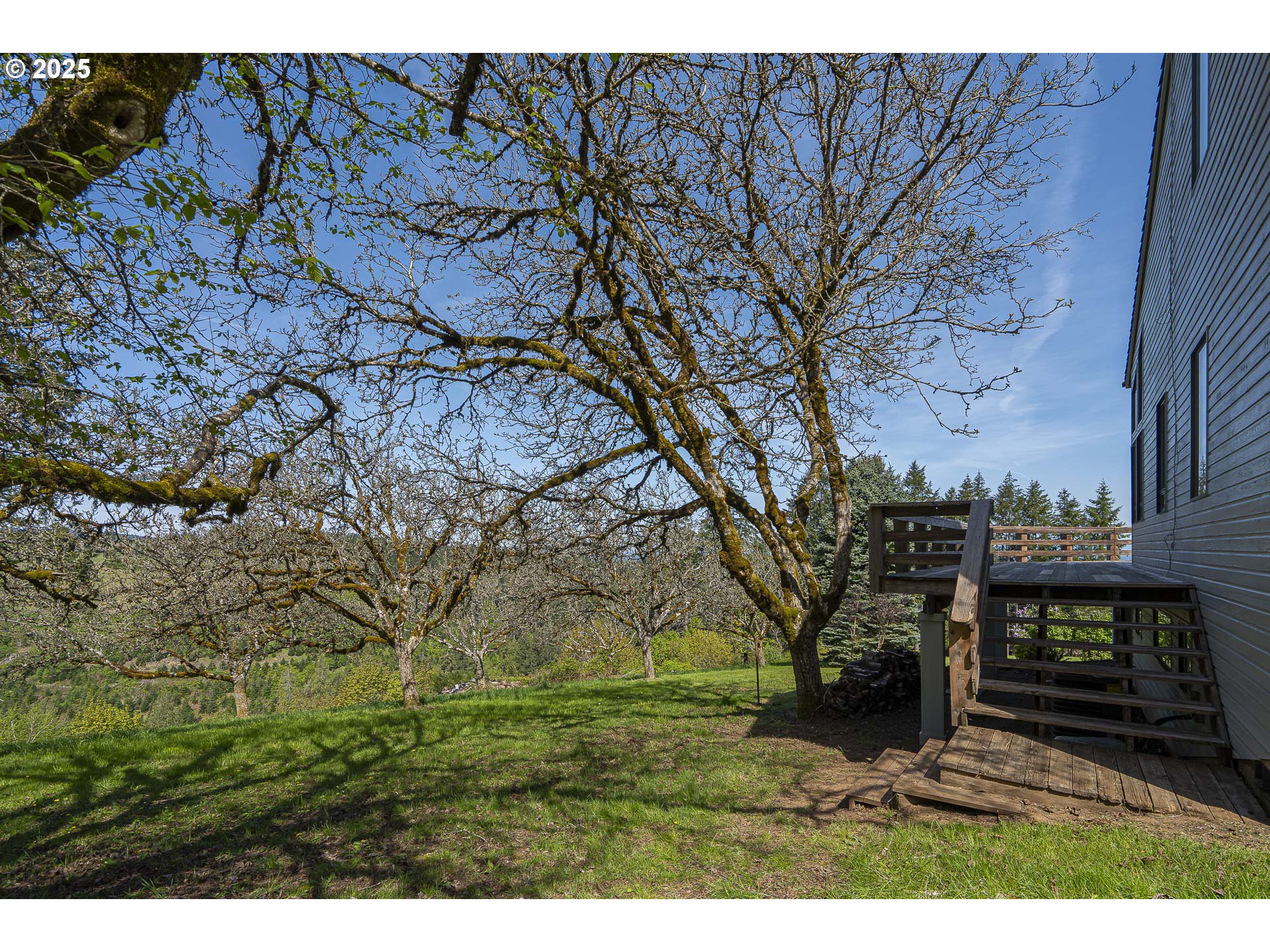 25731 Southwest Neill Road Newberg, OR 97132 - Photo 29 of 39 a view of outdoor space and yard