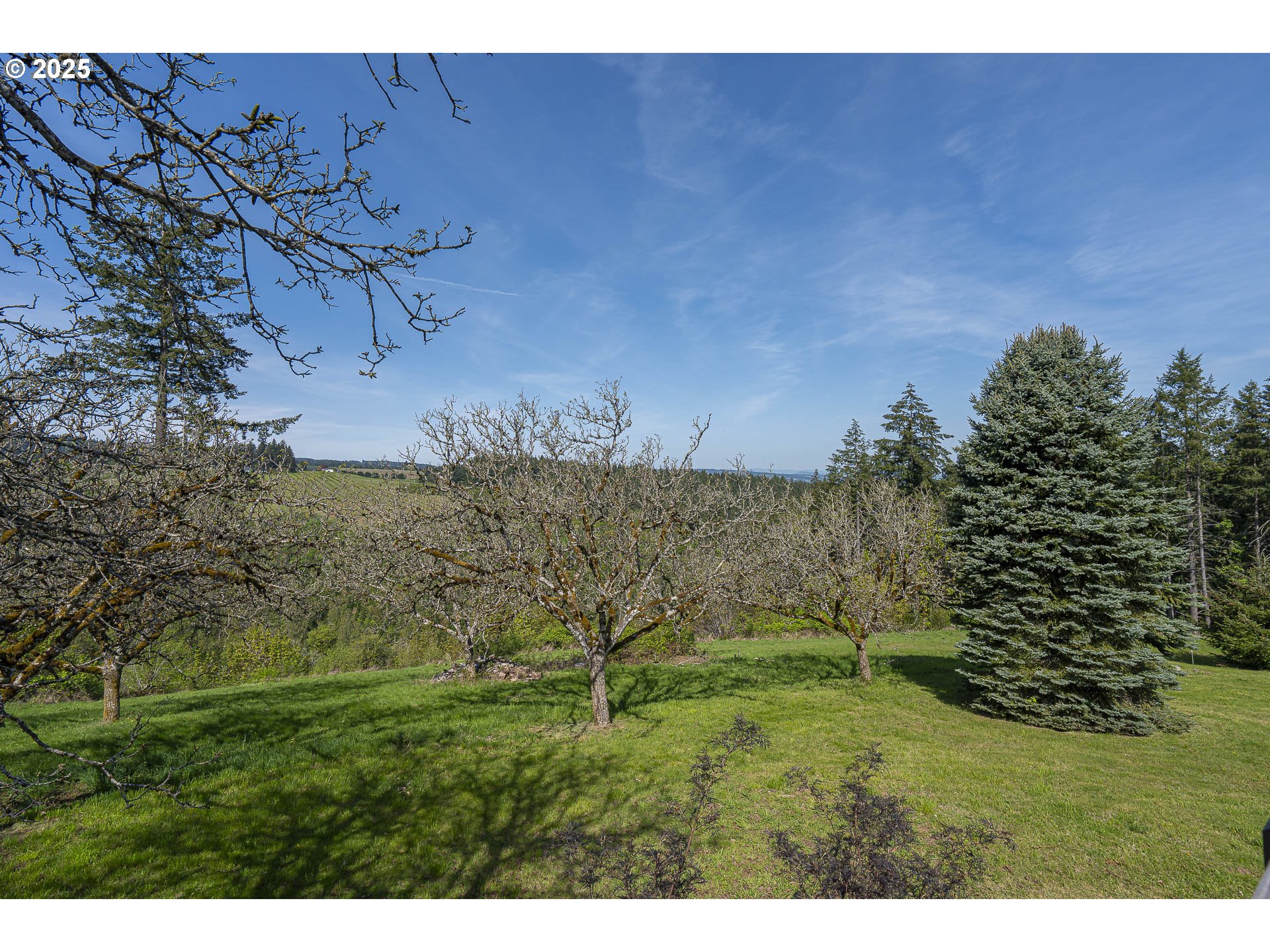 25731 Southwest Neill Road Newberg, OR 97132 - Photo 31 of 39 a view of a yard