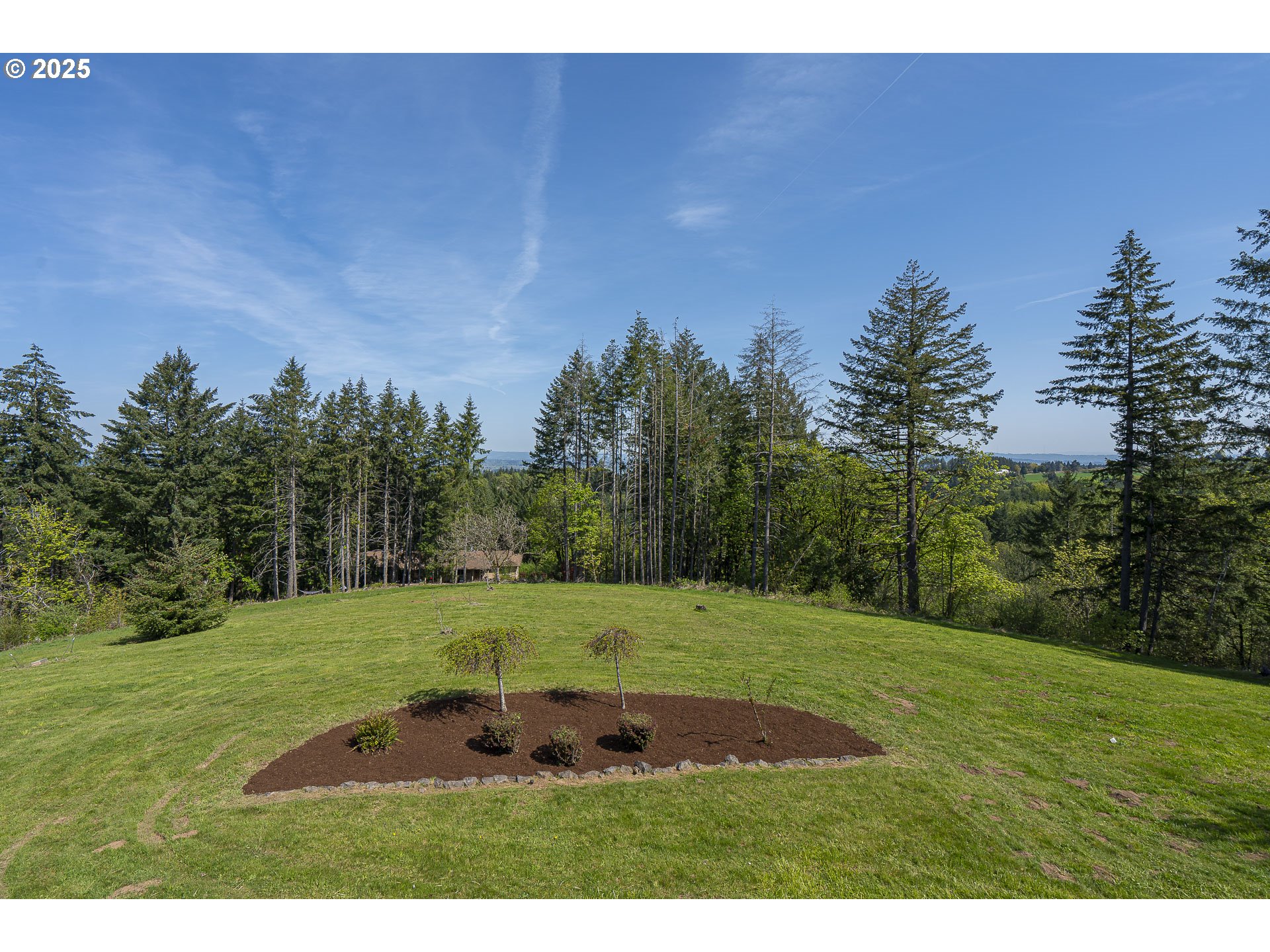 25731 Southwest Neill Road Newberg, OR 97132 - Photo 32 of 39 a view of a field with trees in the background