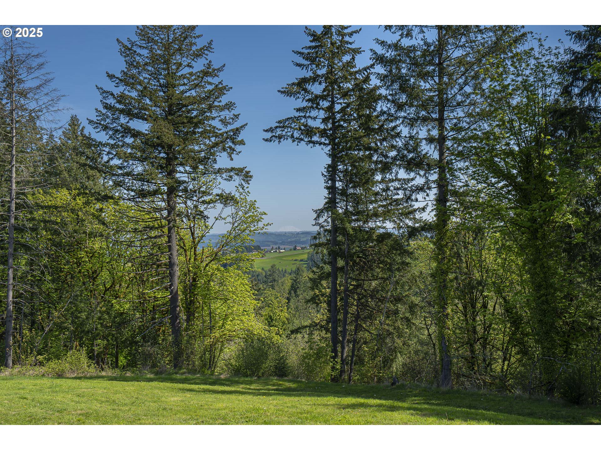 25731 Southwest Neill Road Newberg, OR 97132 - Photo 35 of 39 a view of a yard