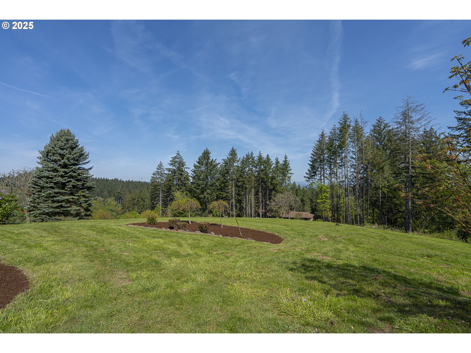 25731 Southwest Neill Road Newberg, OR 97132 - Photo 36 of 39 a grassy field with trees in the background