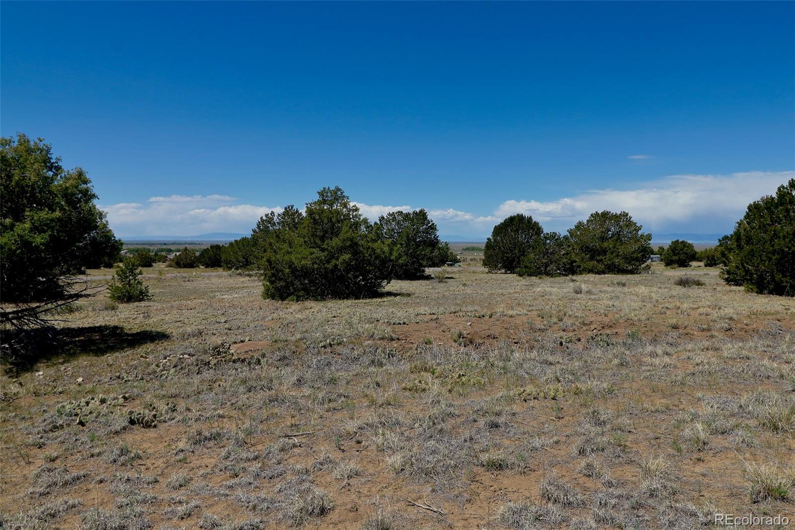 1515 Wagon Wheel Road Crestone, CO 81131 - Photo 5 of 15 a view of a dry yard with trees and stairs