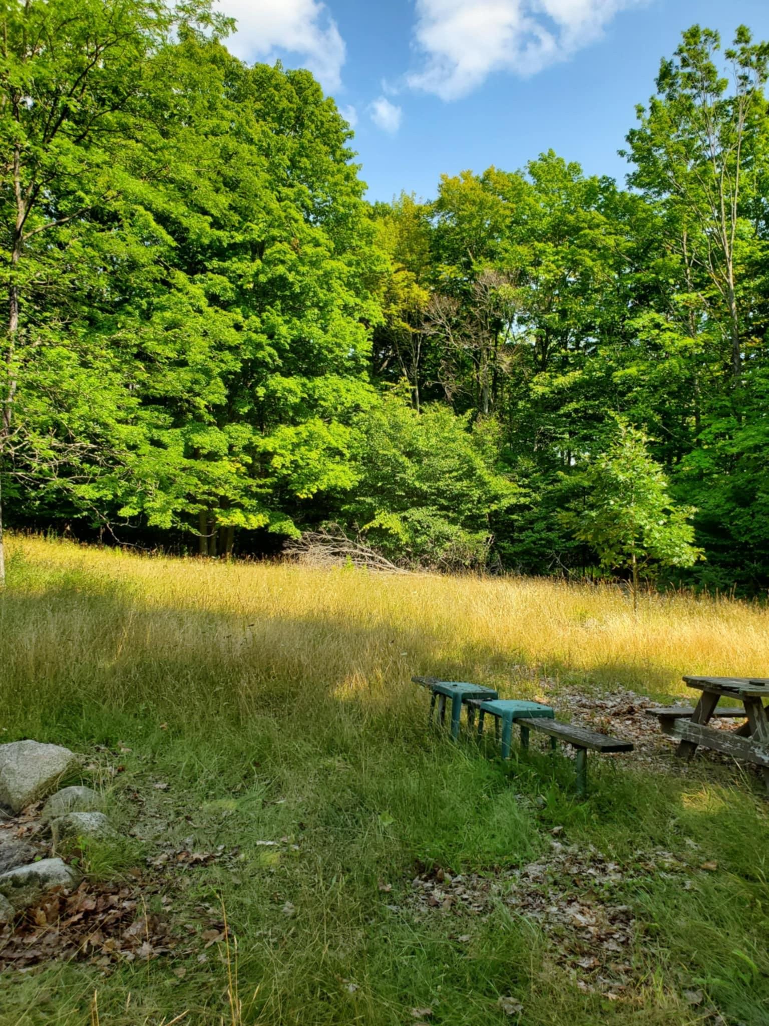 5635 Goodar Road South Branch, MI 48761 - Photo 15 of 20