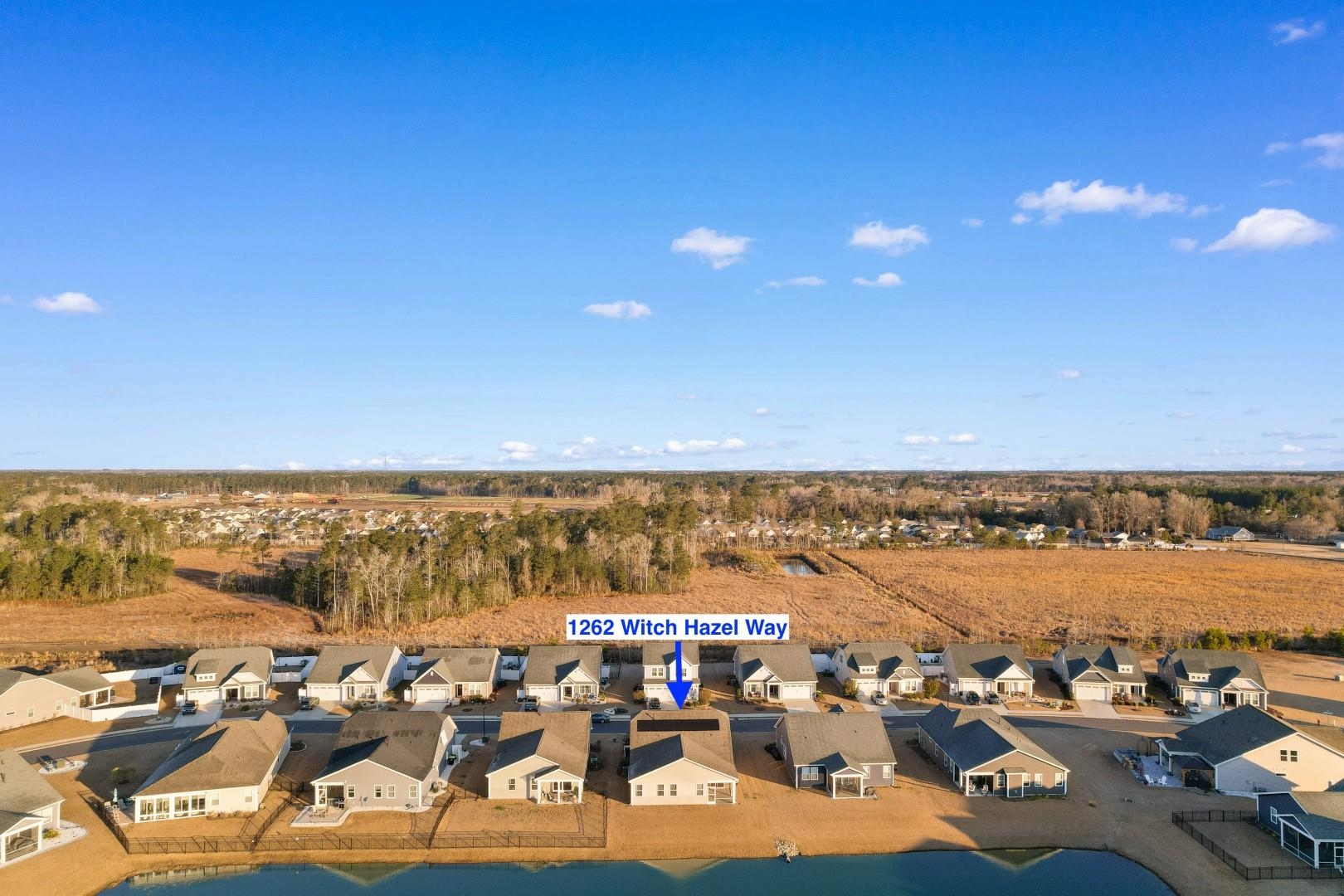 1262 Witch Hazel Way Longs, SC 29568 - Photo 33 of 40