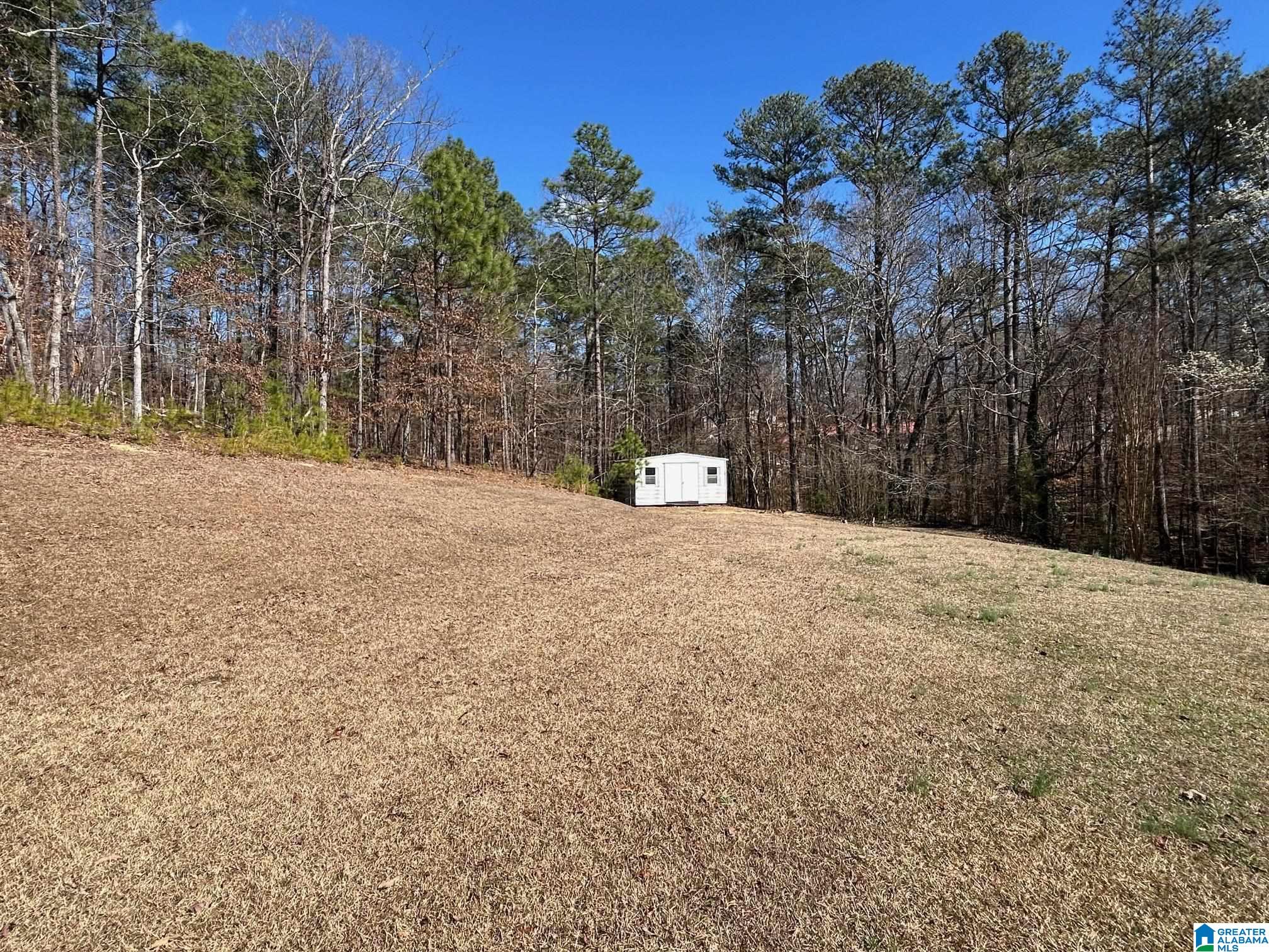 6207 Woodford Road Anniston, AL 36206 - Photo 24 of 28