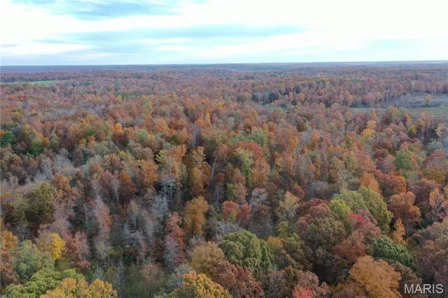 $59,000 | 3 Bobwhite Lane, Fairdealing, MO 63939