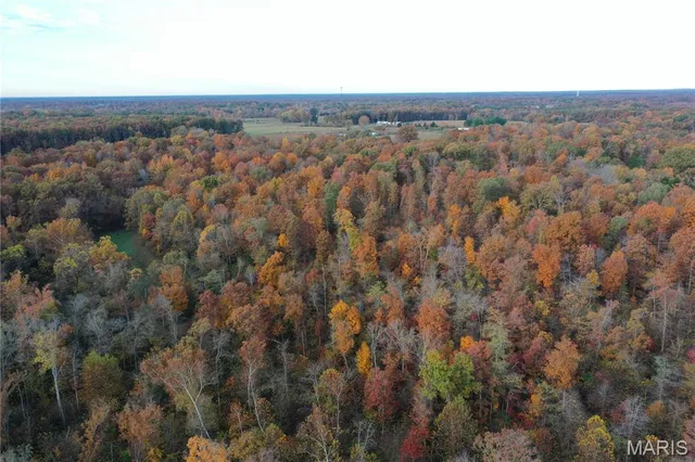 $59,000 | 3 Bobwhite Lane, Fairdealing, MO 63939