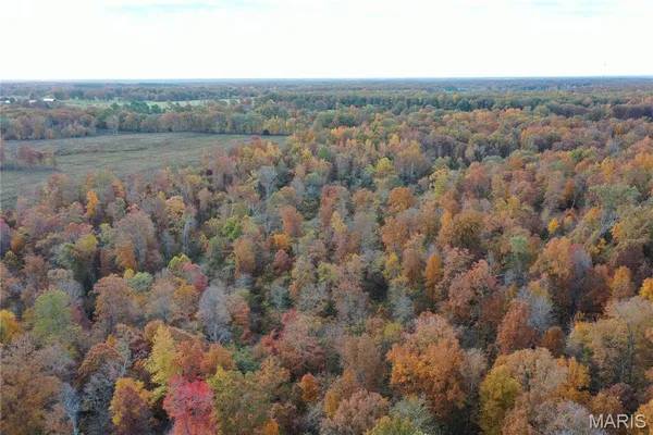 $59,000 | 3 Bobwhite Lane, Fairdealing, MO 63939