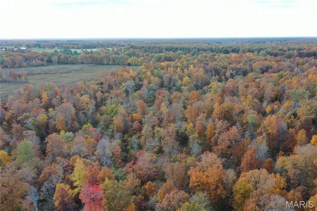 $59,000 | 3 Bobwhite Lane, Fairdealing, MO 63939