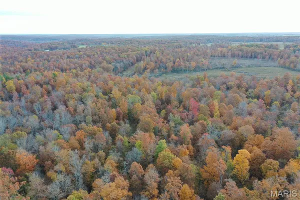 $59,000 | 3 Bobwhite Lane, Fairdealing, MO 63939