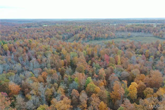 $59,000 | 3 Bobwhite Lane, Fairdealing, MO 63939