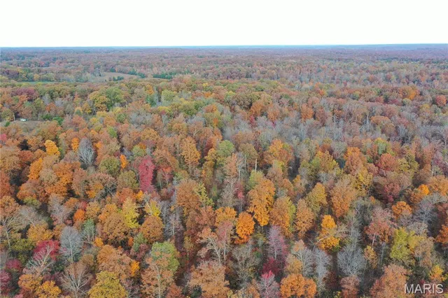 $59,000 | 3 Bobwhite Lane, Fairdealing, MO 63939